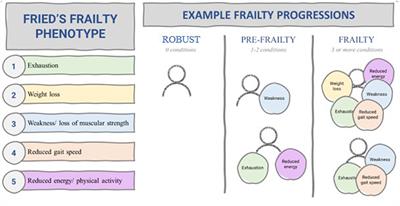 Accelerated aging in people experiencing homelessness: A rapid review of frailty prevalence and determinants